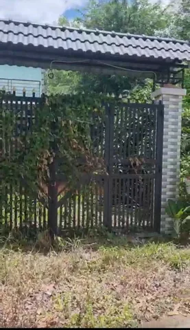 Bán đất mặt tiền Trương Thị Kiện buôn bán kinh doanh xã Thái Mỹ Củ Chi TPHCM, DT: 6,5x29m.