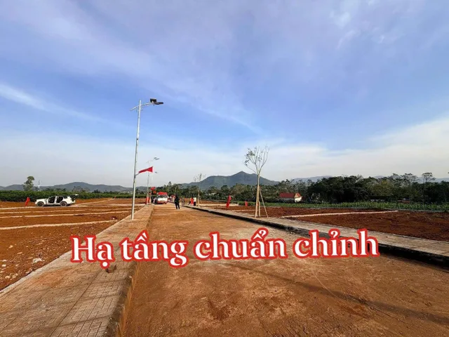 Bán đất 197m² có sẵn 60m² thổ cư ngang 10m giá 290 triệu tại Xã Công Chính Huyện Nông Cống