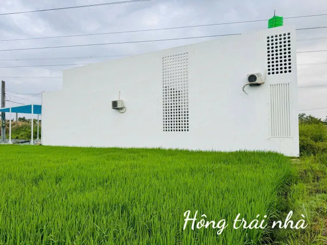 Bán nhà vườn xây mới DT 182m² ngang 9m giá 4.5 tỷ Xã Mỹ Lệ