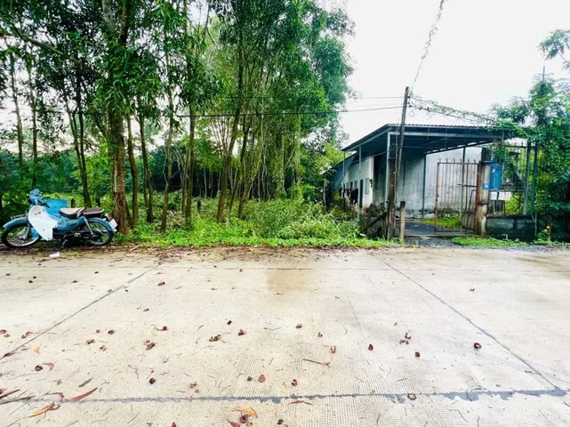 Bán đất thổ cư 2/ ngắn Nguyễn Văn Khạ trung tâm xã Tân An Hội Củ Chi TPHCM, DT: 5x34m.