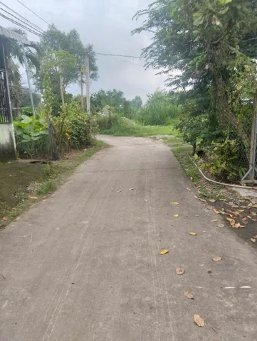 Bán đất 240m² ngang 5m giá 1.1 tỷ Xã Mỹ Hạnh