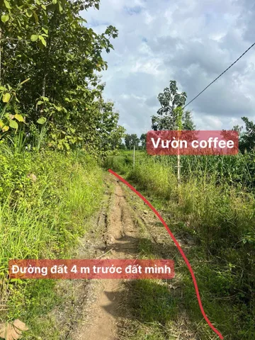 Bán đất 9614.9m² giá 1.4 tỷ Xã Ea M’Droh