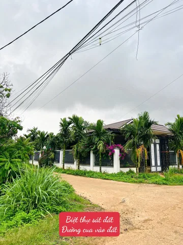 Bán đất 1556.1m² giá 588 triệu Xã Phú Xuân