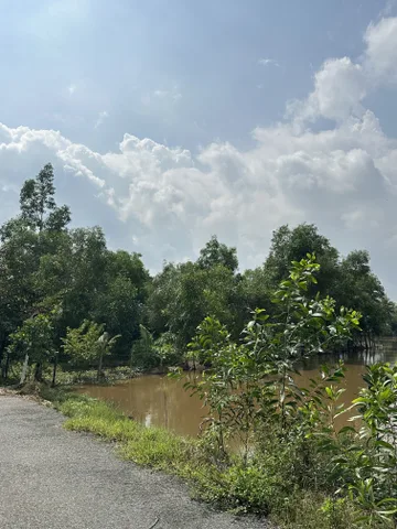 Bán đất Bình Chánh mặt tiền đường Phan Thị Thâu