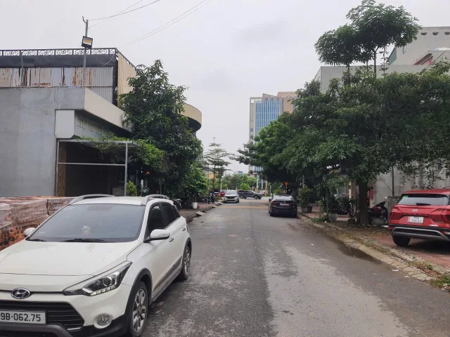 Bán 80m đất giãn dân bò sơn 4 dãy LK3. Cách vài bước chân ra đường lý anh tông. Phường võ cường bắc ninh