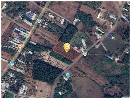 Bán đất 3301m² giá 8 tỷ Phường Tân Thành