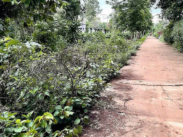 Bán đất 102.4m² giá 550 triệu Xã Hòa Phú