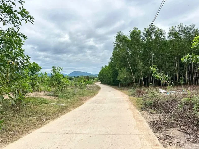 Đất Diên Xuân Diên Khánh, gần khu dân cư, đường QH 16m. LH 0938161427