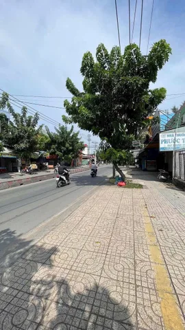 Bán đất 1311.9m² ngang 20m giá 26 tỷ Xã Xuân Thới Sơn