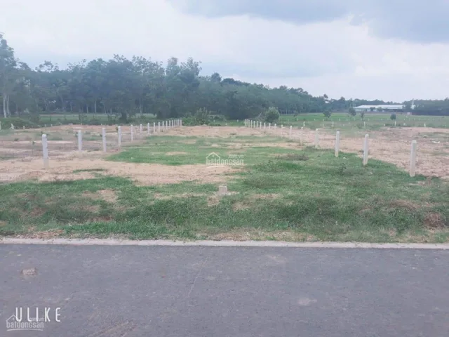 Bán đất 1021.5m² ngang 20m giá 290 triệu Xã Minh Đức