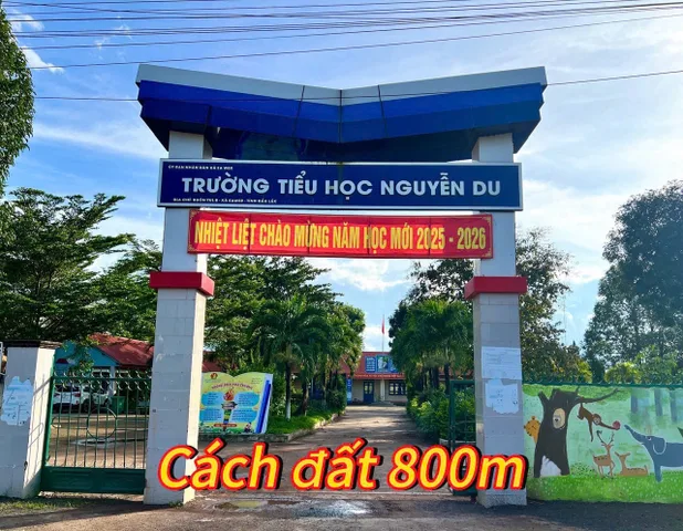 Bán đất 12093m² giá 1.2 tỷ Xã Ea Wer