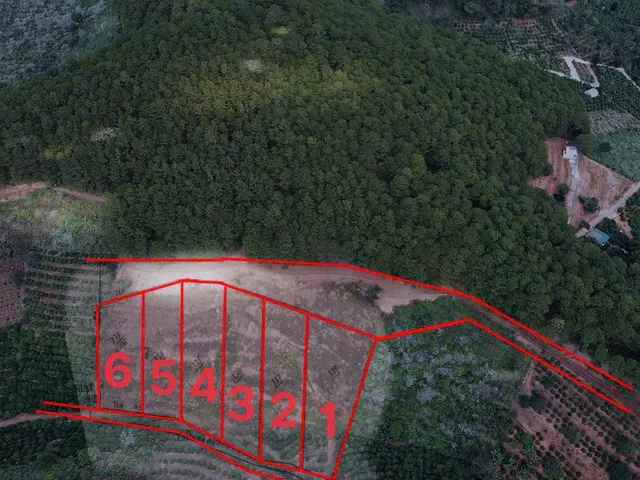 CHỈ 633k/m2 - NẰM GIỮA RỪNG THÔNG - SẴN SỔ - GIÁP RANH ĐÀ LẠT