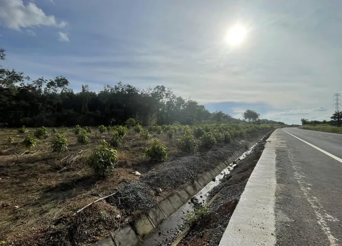 Bán đất 3000m² ngang 90m giá 3.5 tỷ tại Xã Hòa Khánh Thành phố Buôn Ma Thuột