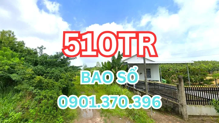 🔥 CHÍNH CHỦ BÁN ĐẤT GIÁ RẺ – 426m² NGANG 8m – CHỈ 510 TRIỆU – XÃ TÂN QUAN 🔥