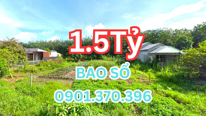 🏡 Bán rẻ lô đất sào (27x47=1.278m²) giá 1.5 tỷ Xã Tân Quan – Hớn Quản, Bình Phước