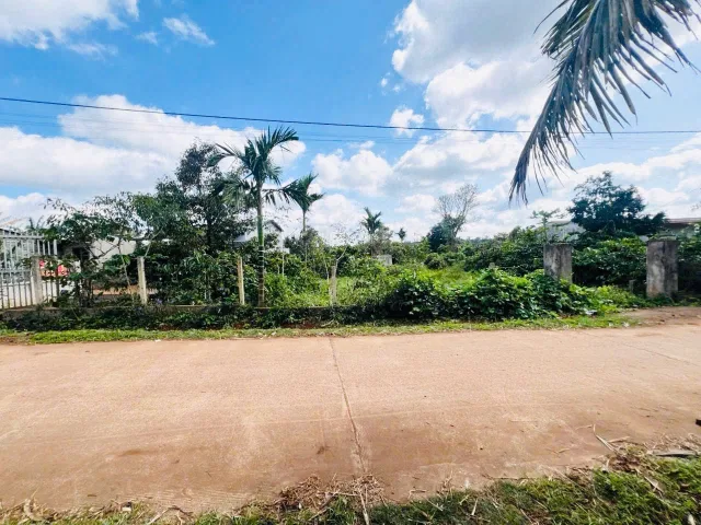 Bán đất 307.4m² giá 299 triệu Xã Dliê Ya