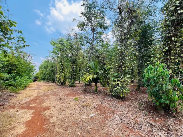 Đất rẫy hoà xuân. 1ha3 bán 4tỷ900tr