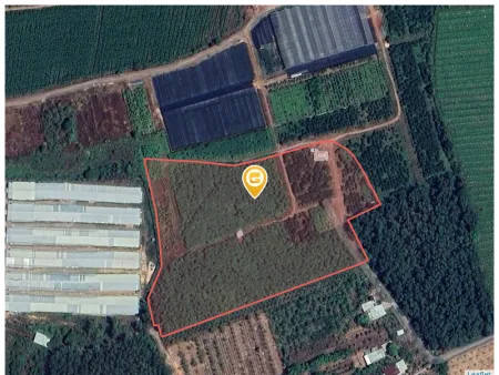 Bán đất 26590.4m² giá 42.54 tỷ Xã Thường Tân