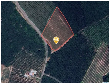 Bán đất 14559m² ngang 20m Xã Phước Thành