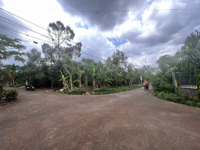 Bán đất buôn Enao B - Nguyễn xuân Nguyên 113.3m² ngang 5m giá 1.39 tỷ Phường Tân An