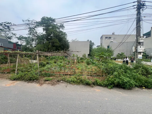 Bán đất 82,1m² ngang 5m giá 4.95 tỷ Phường Việt Trì