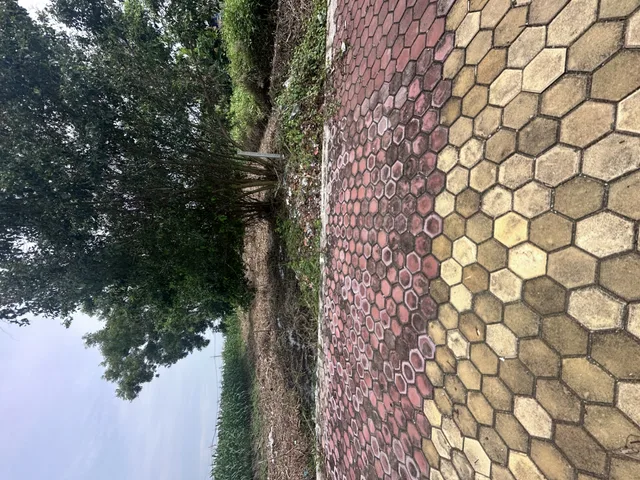 Bán đất 252m² ngang 6m giá 1.5 tỷ Xã Đầm Dơi