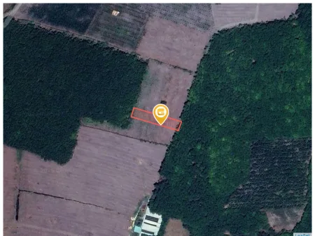 Bán đất 1010.6m² ngang 13m giá 1.48 tỷ Xã Tân Quan