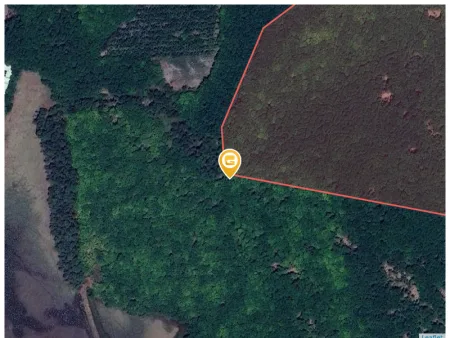 Bán đất 54000m² ngang 100m giá 320 tỷ Xã Tân Quan