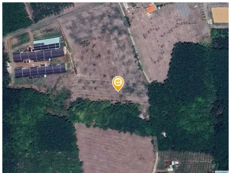 Bán đất 3331m² ngang 18m giá 2.4 tỷ Xã Tân Quan