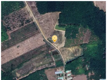 Bán đất view suối 3125m² ngang 22m giá 3.1 tỷ Xã Tân Quan
