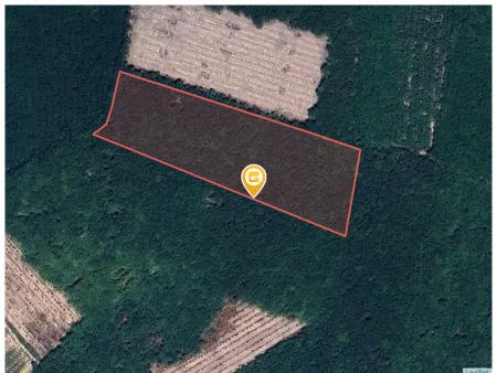 Bán đất 1260m² ngang 18m giá 795 triệu Xã Nha Bích