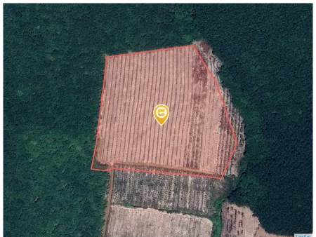 Bán đất 32000m² ngang 140m giá 12 tỷ Xã Nha Bích