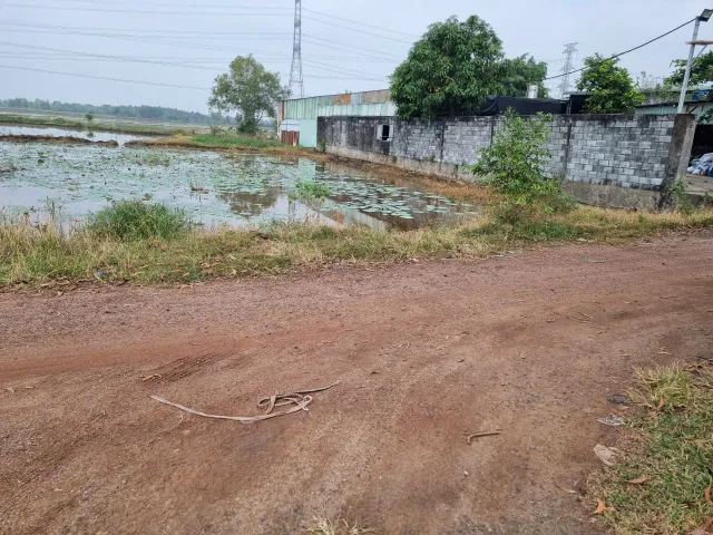 (L848) Đất 1/ Nguyễn Kim Cương, xã Tân Thạnh Đông, dt 1.957m2, giá 3,5tr/m2