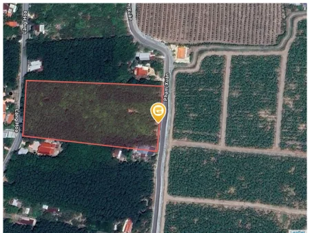 Bán đất 1000m² ngang 10m giá 640 triệu Xã Nha Bích