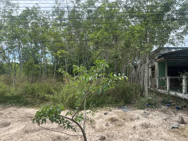 Bán đất DT750