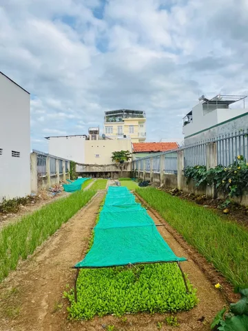 Bán đất 258.5m² giá 9.25 tỷ Phường Bắc Nha Trang