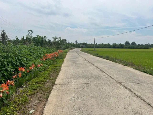 Bán đất 704.7m² giá 149 triệu Xã Ea Kly