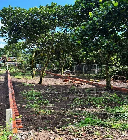 TRUNG TÂM P BẢO VINH, TP ĐỒNG NAI. NGAY TRƯỜNG HỌC, CHỢ... 5m×24,8m, TCSR, CHỈ  890Tr