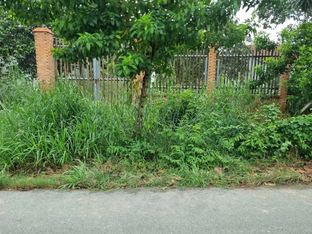 (L852) (Đã bán ) Đất mặt tiền Nguyễn Thị Chiếu (1/ Tỉnh Lộ 15), xã An Phú, dt 894m2, giá 3 tỷ 700 thương lượng