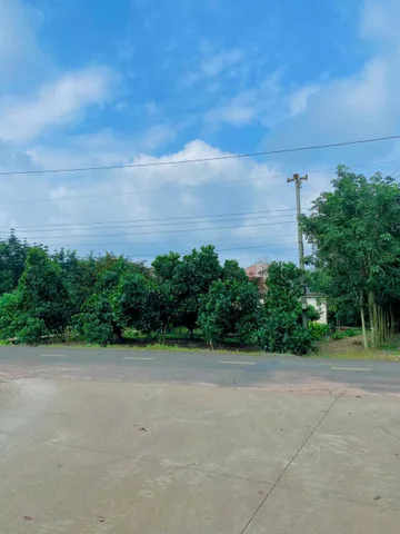 Bán đất 1272.2m² ngang 10m giá 1.4 tỷ Xã Phước Thành