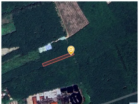 Bán đất 1103.8m² giá 1.35 tỷ Xã Phước Hòa