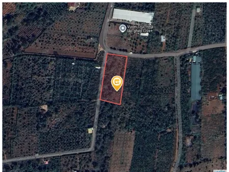 KOMLEO - Bán đất 4113.5m² ngang 94m giá 6.5 tỷ Phường Tân Lập