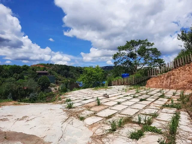 🌿 BÁN ĐẤT SỔ RIÊNG – XUÂN THỌ, P.XUÂN TRƯỜNG _ ĐÀ LẠT 🌿