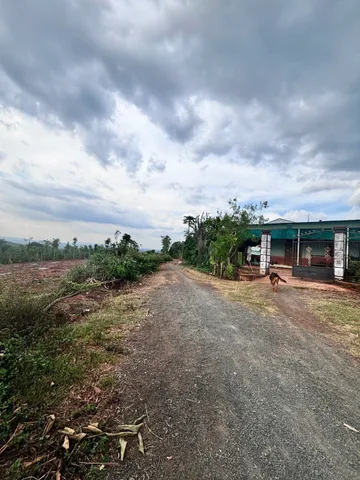 Bán đất 1400m² có sẵn 60m² thổ cư ngang 20m giá 850 triệu tại Xã Ea Kiết