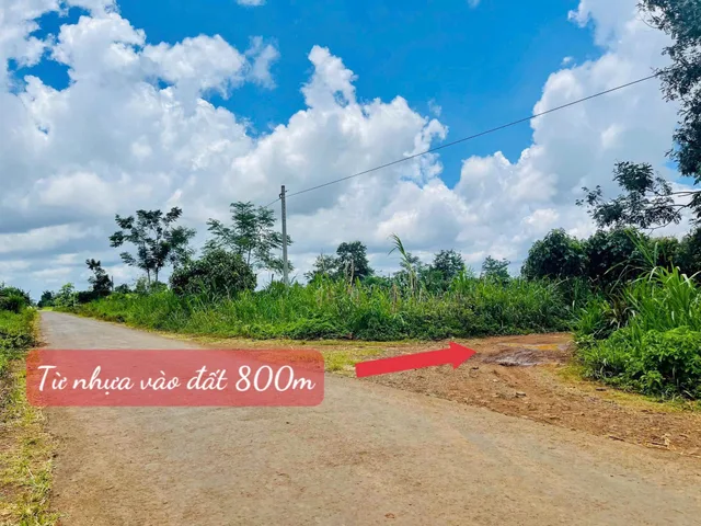 Bán đất 623.4m² giá 199 triệu Xã Ea Tul