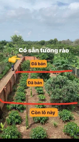 Bán đất 137m² Xã Hòa Phú