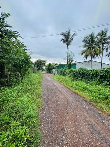 Bán nhà 1000m² giá 2.6 tỷ Xã Ea Nuôl