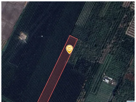 Bán đất 9356.6m² ngang 30m giá 1.5 tỷ Xã Ngãi Tứ