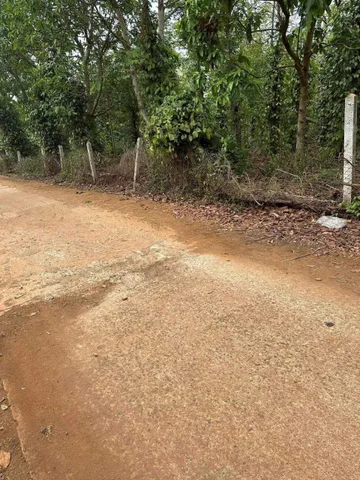 Bán đất 140m² giá 1.55 tỷ Phường Buôn Hồ