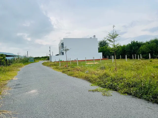 Bán đất 200m² ngang 5m giá 290 triệu Phường An Lộc